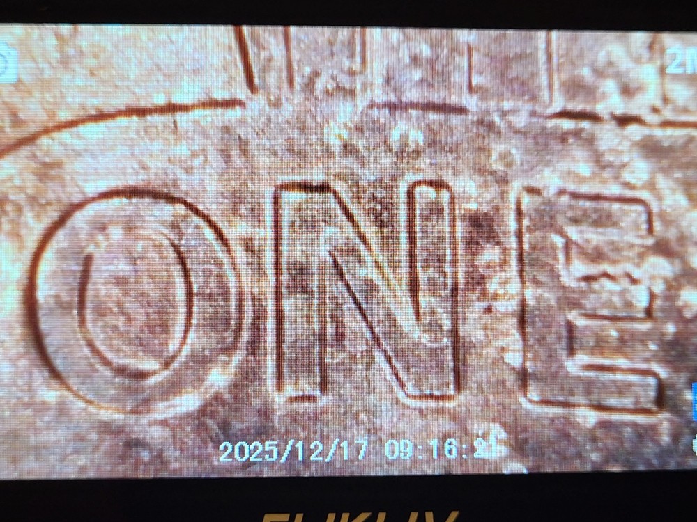 2017 P Lincoln Memorial Penny. Plating Errors, Bubbles,DDO, DDR Errors, Wide AM