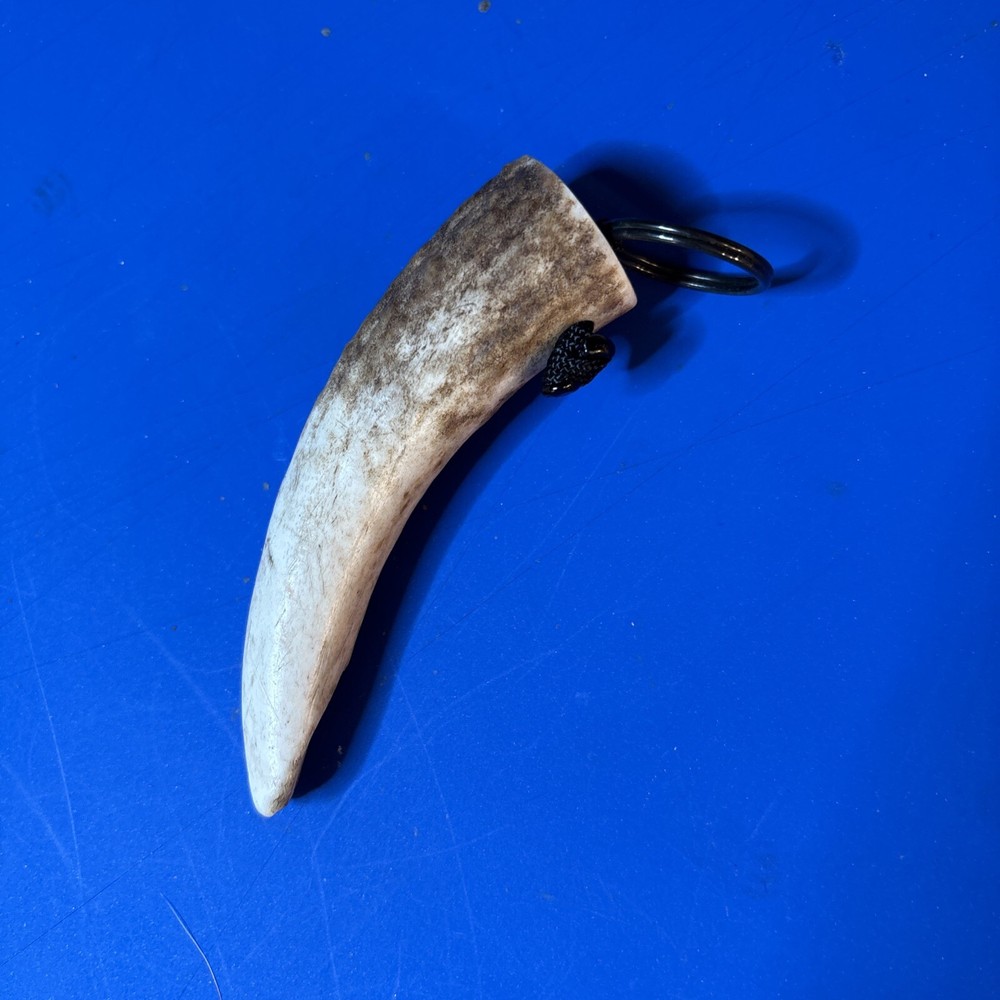 Horn Key Chain