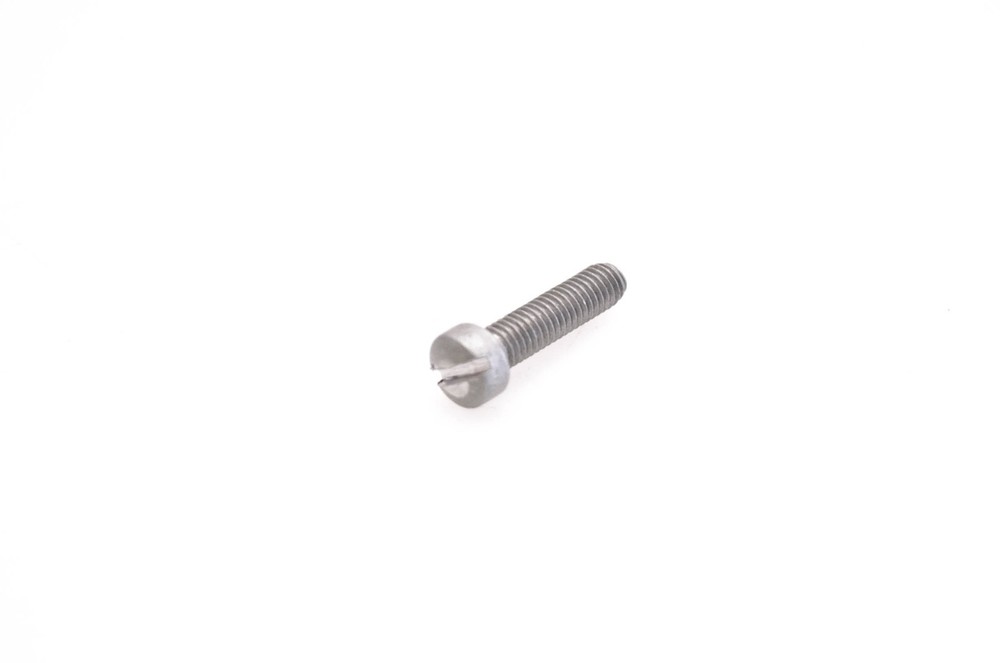 OMC 312491 Screw NOS