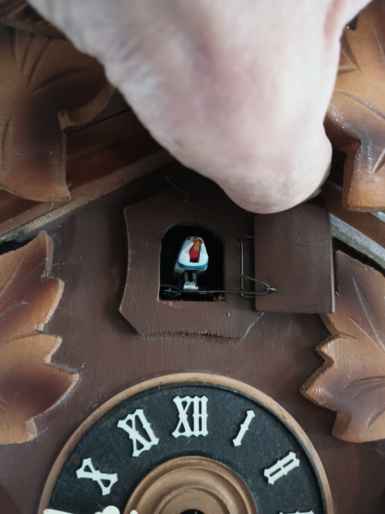 Black Forest Three Bird Cuckoo Clock 8-Day Mdl.25 Weights Driven Keeps Time Read