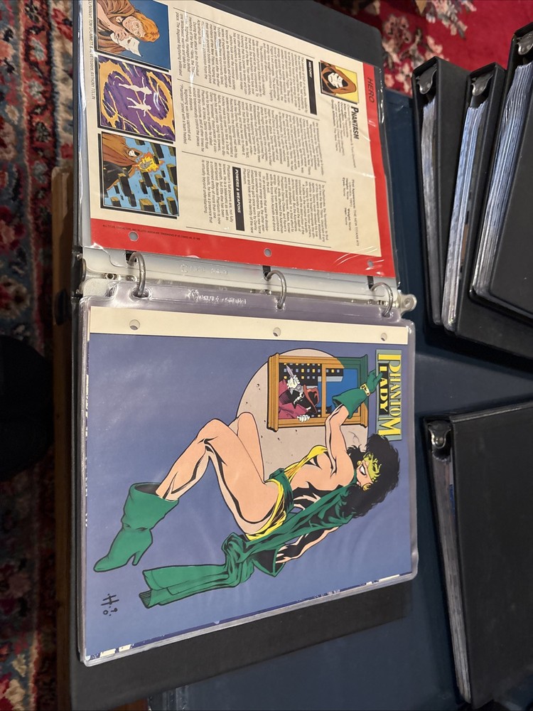 Comic Book Bio Binder