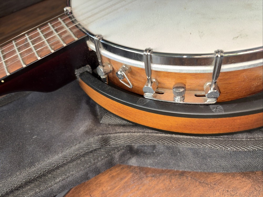 Fender 5 String Banjo & Bag Used