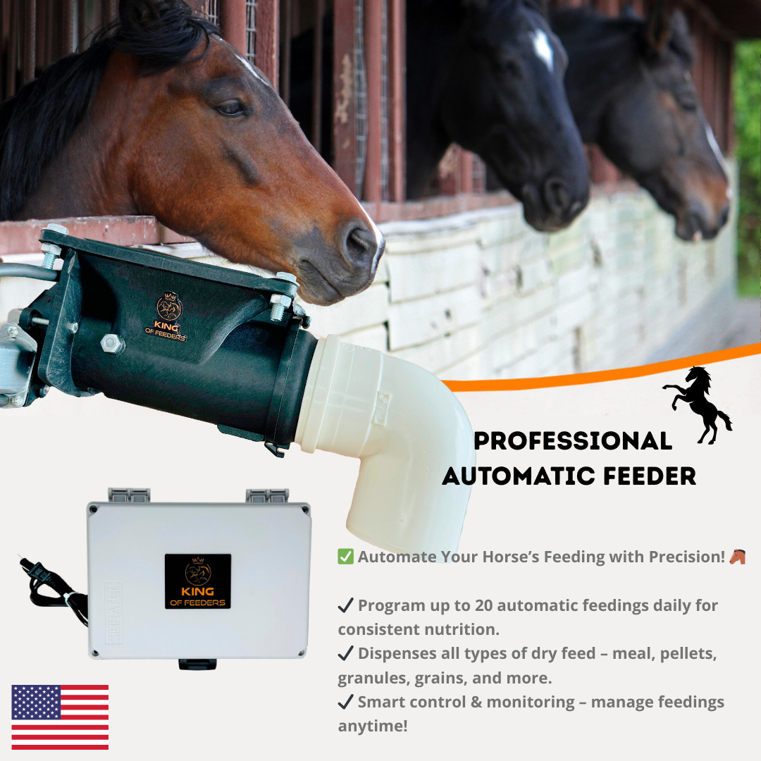 Automatic Feeder for Horse, Foal, Colt, and Filly - Food Dispenser with Timer
