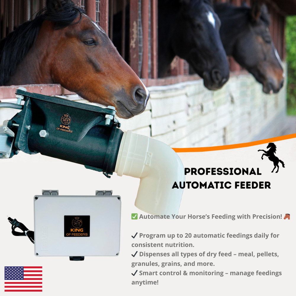 Automatic Feeder with Timer – Feed Dispenser for Small & Large Animals