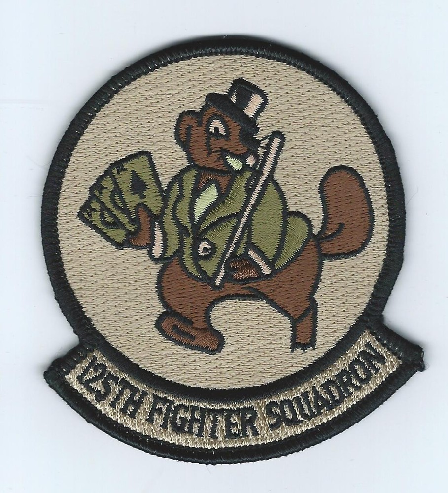 125th FIGHTER SQUADRON desert patch