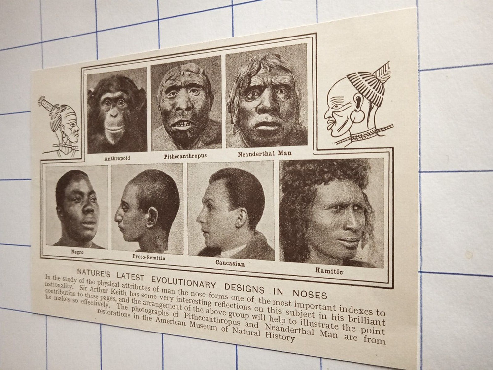 Nature's latest evolutionary design in noses c 1920
