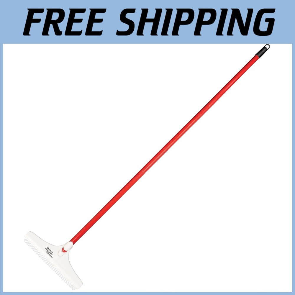Professional Carpet Rake for Effective Cleaning