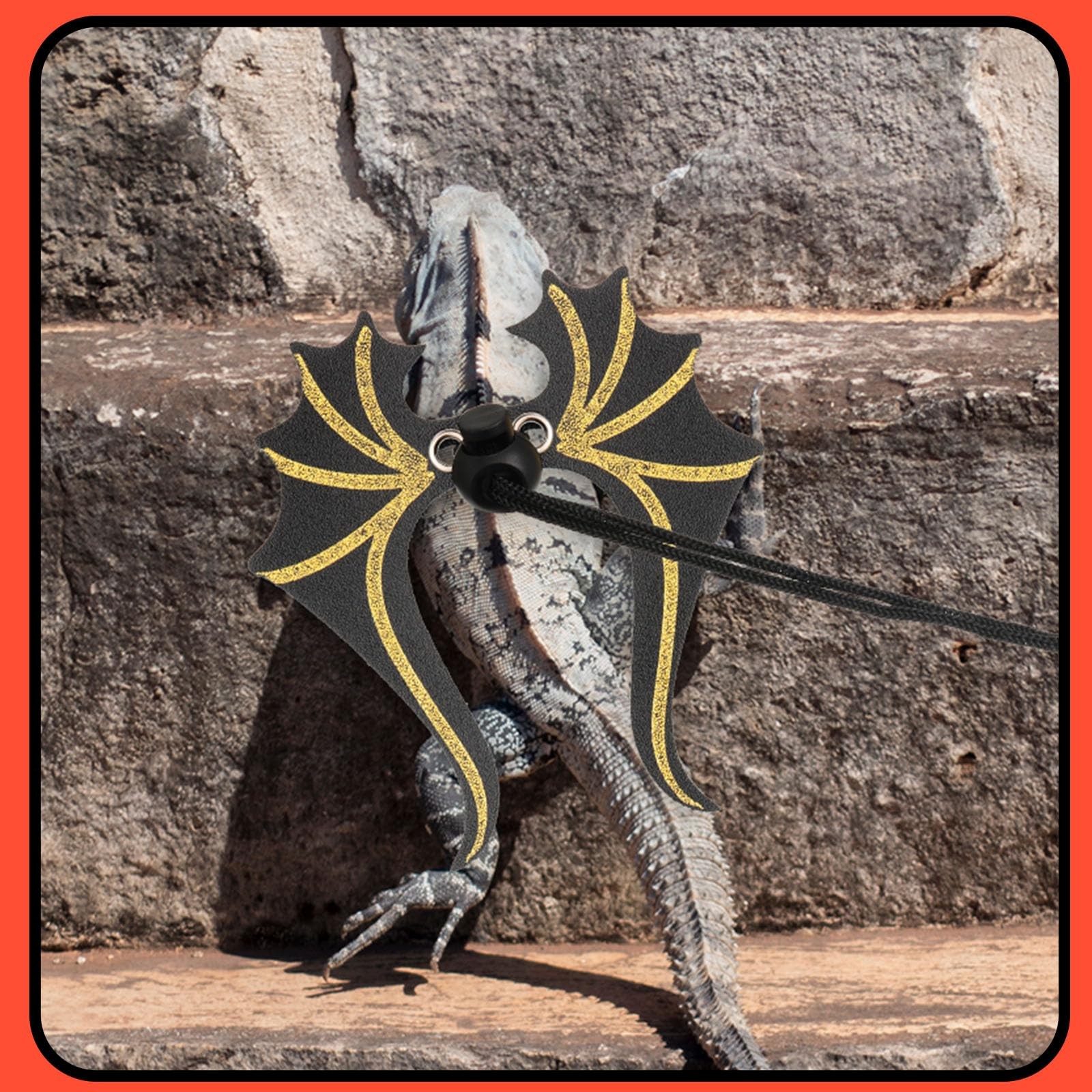 Bearded Dragon Leash and Harness Set 3 Size Pack Adjustable Cool Leather Lizard