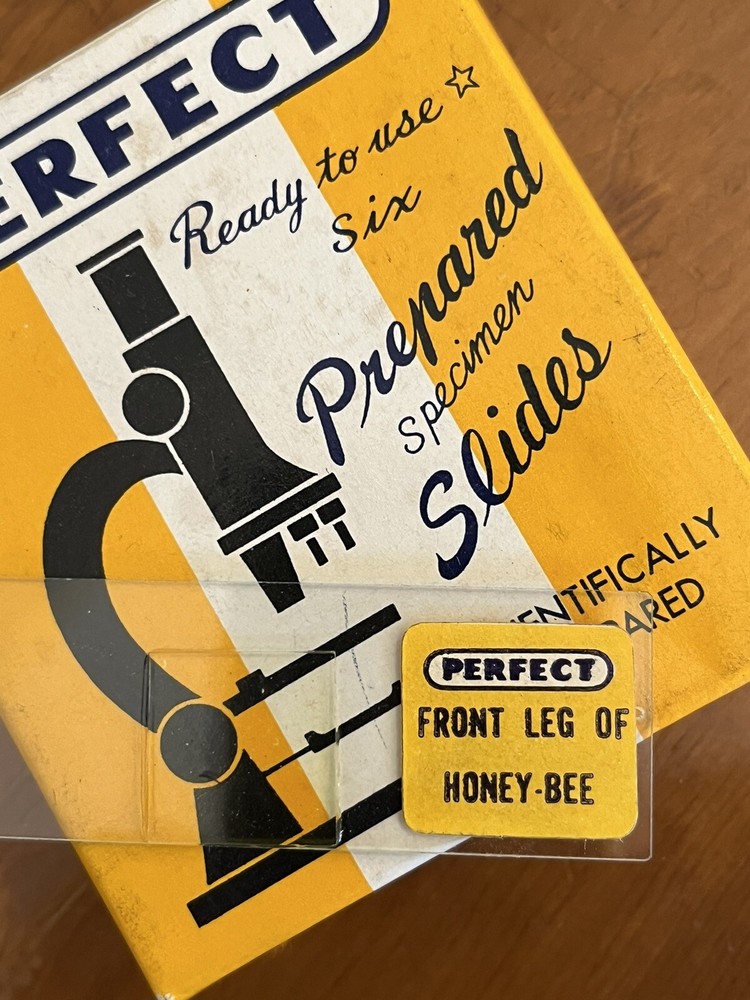 Vintage Graf Apsco Microscope with working Light c.1946