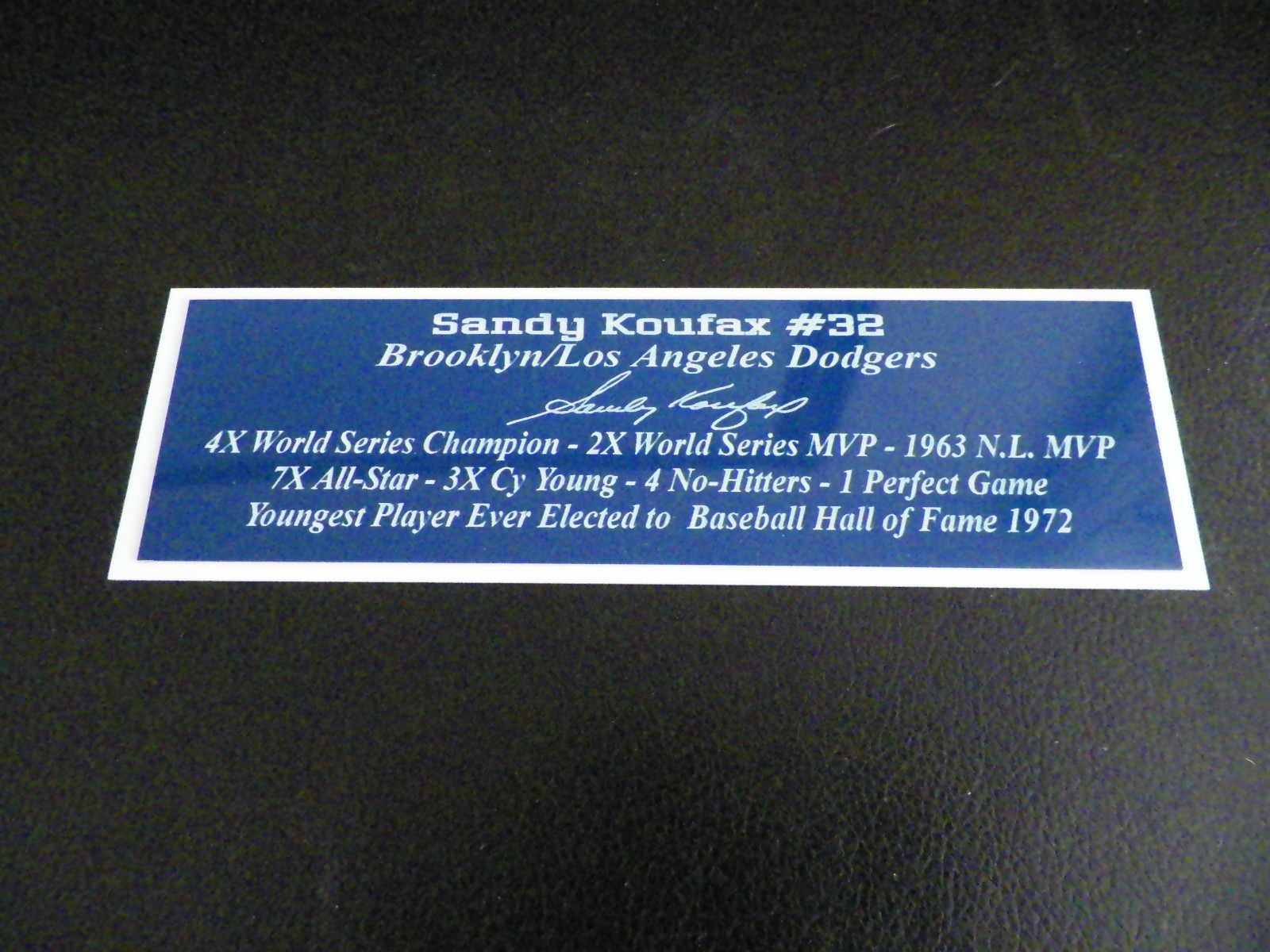 Larry Bird Nameplate Boston Celtics Autograph Photo Basketball Jersey