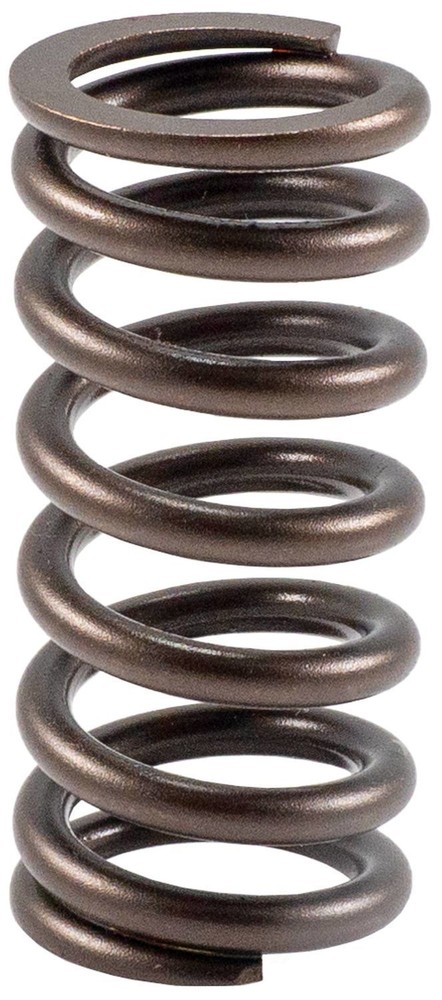 Engine Valve Spring-Stock Melling VS-1620