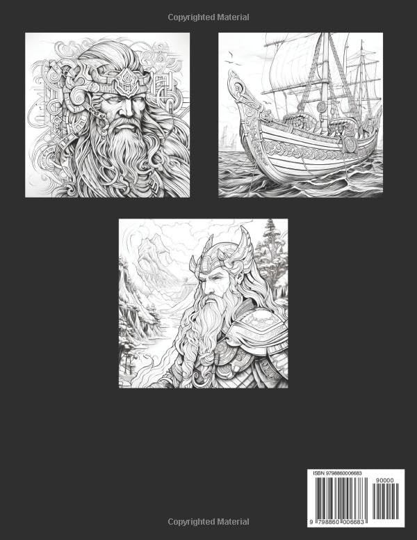 Vikings coloring book for adults