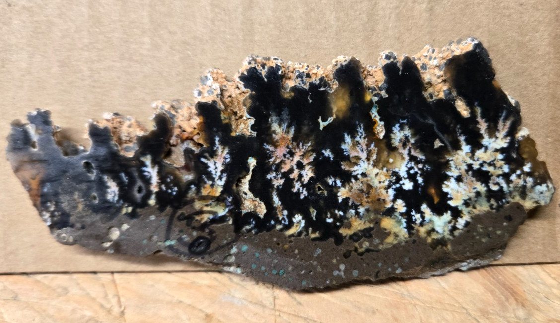 Assorted Plume & Moss Agates, Trimmed Cabochon Slabs Preforms 10 Pcs, Flat 118