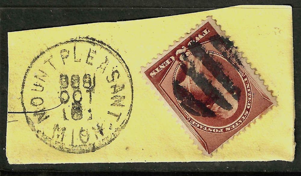 Sc #210 ERROR INVERT YEAR Fancy Cancel 2 Cent Washington Banknote 1883 US 16F41