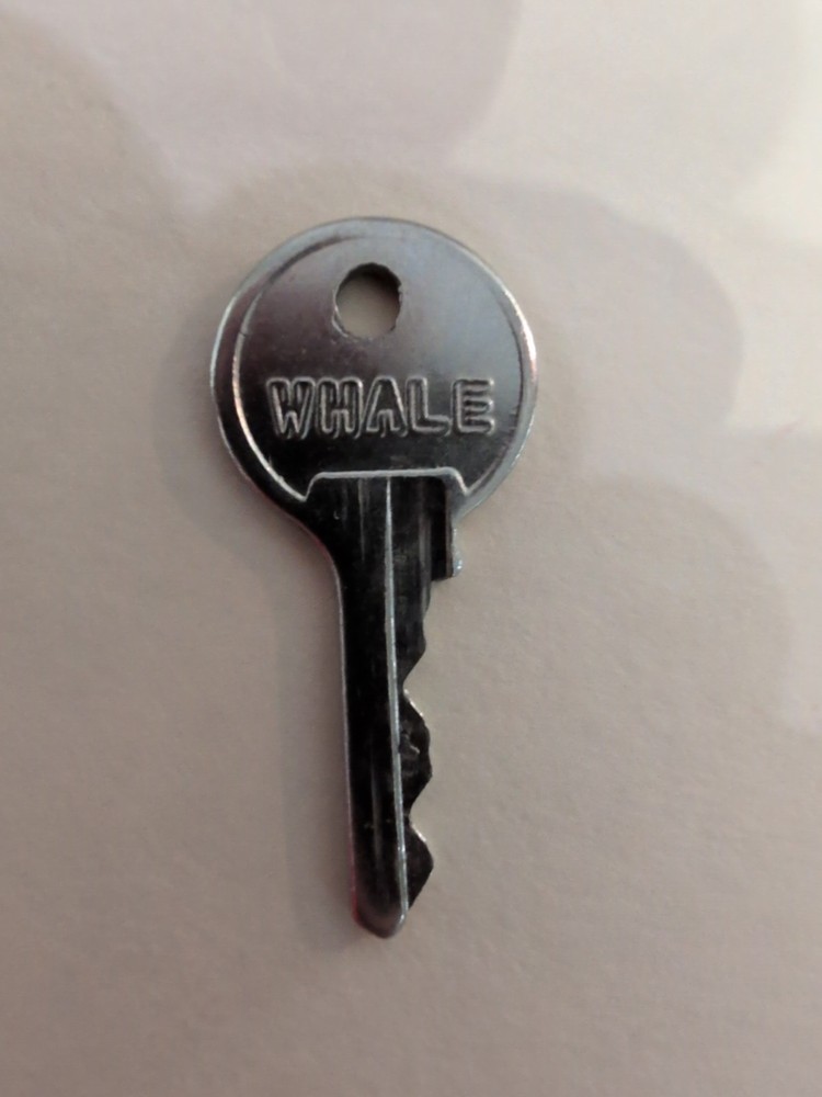 Whale, Key