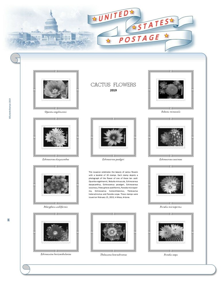 2019 U.S. Regular Issue Singles COMPLETE Supplement (White Ace Alternative)