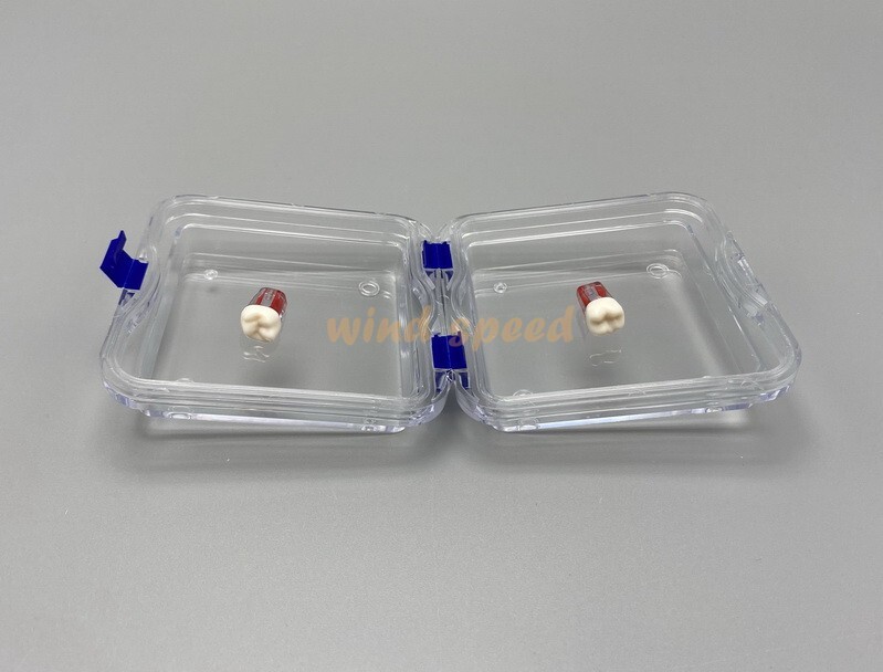 10PCS Denture False Teeth Membrane Container Hinged Jewelry Display Box Case