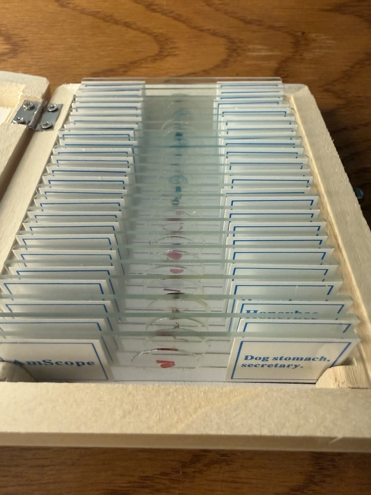 Amscope 25 Prepared Biology Microscope Slides NEW