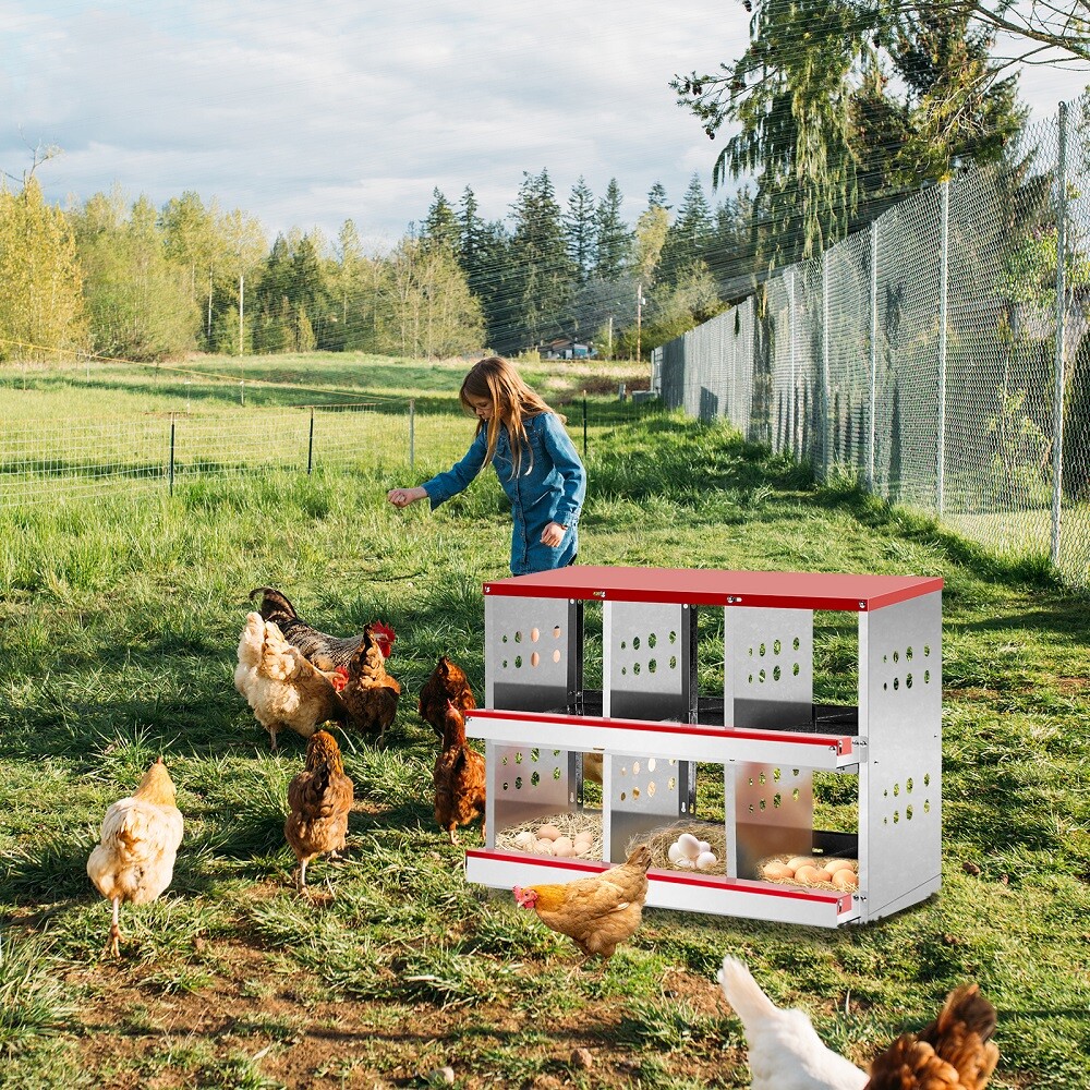 6 Compartment Roll Out Chicken Nesting Box Egg Nest Box Chicken Laying Box
