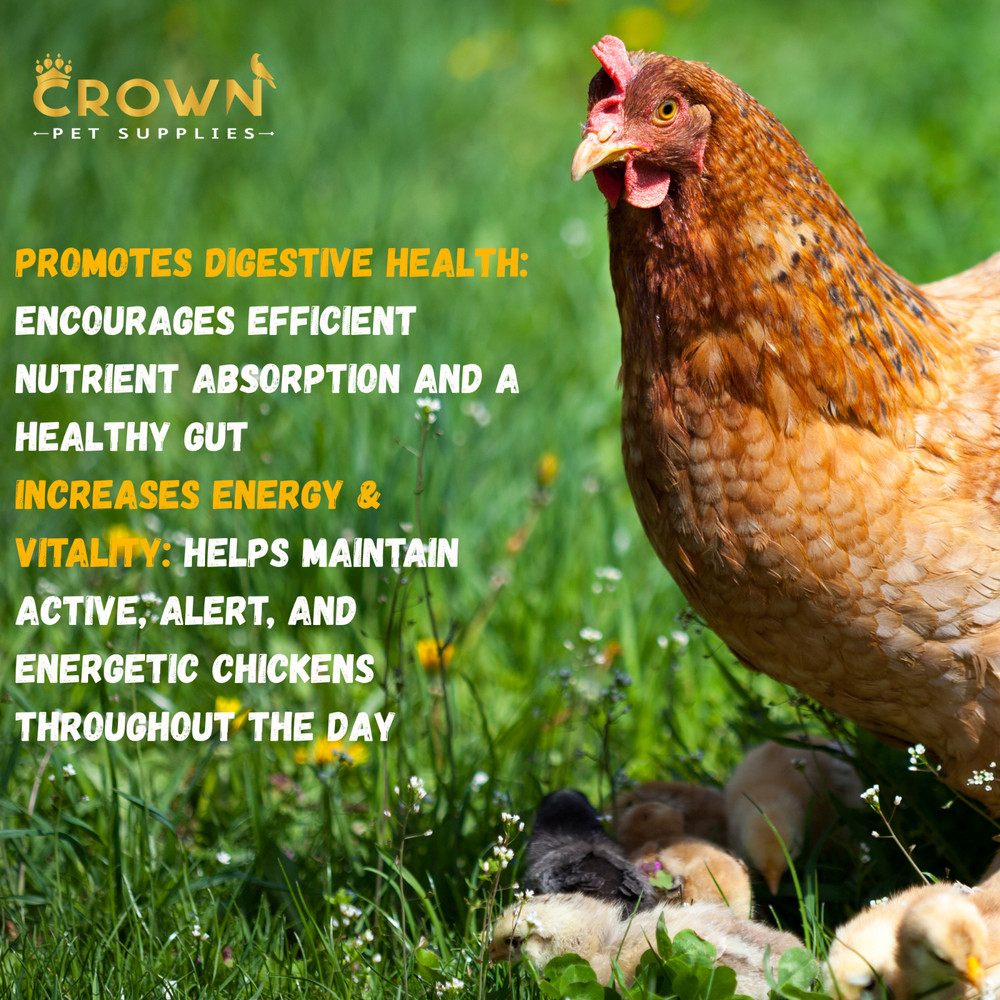 Multi-Vitamins Supplement for Chickens, Fertility, Bone & Growth Support 100g