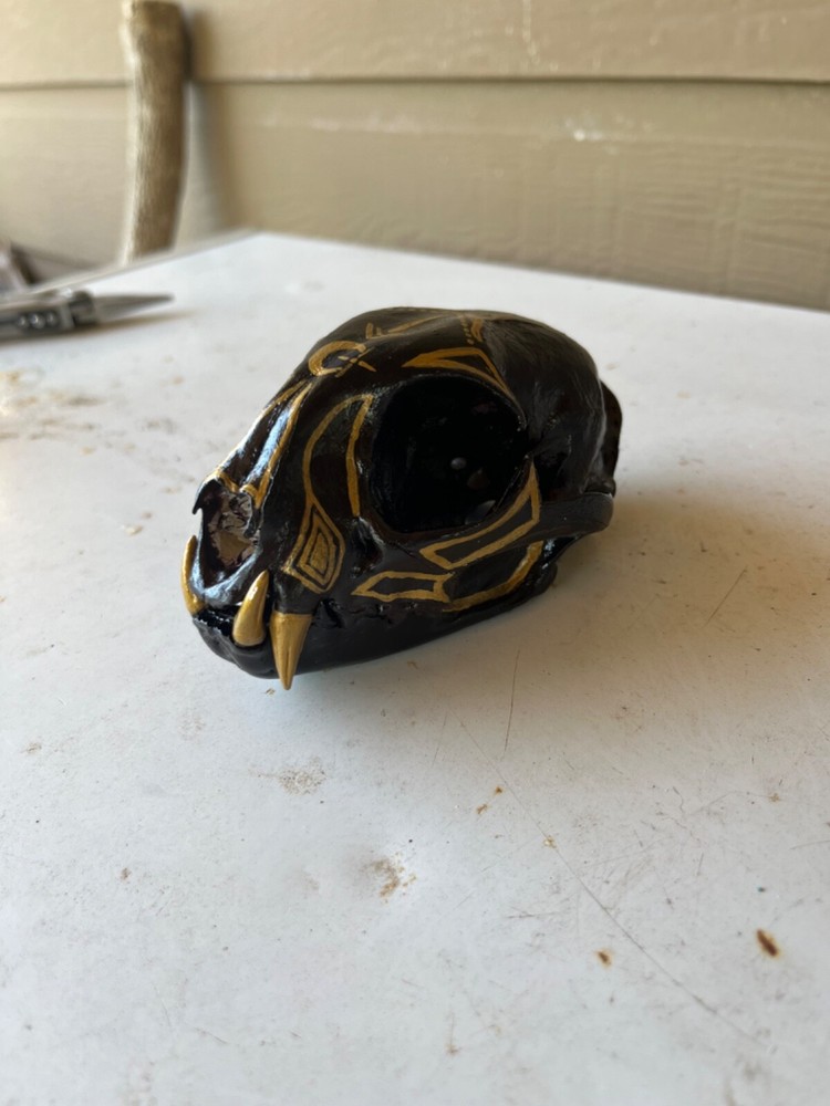 Painted Bobcat Skull please read description