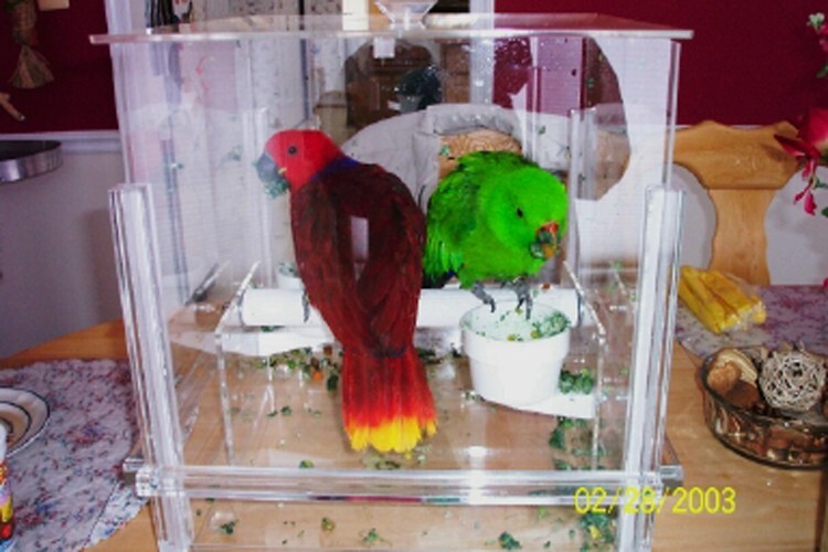 PARROT MESS-FREE FEEDER - the KITCHEN KUBE
