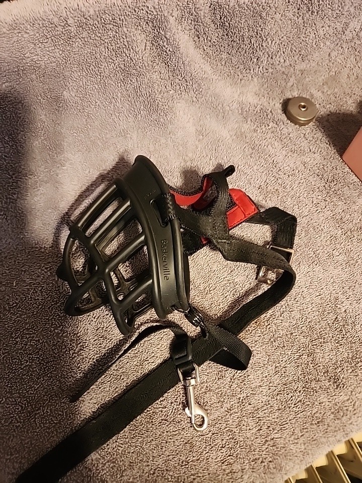 Baskerville Ultra Dog Muzzle Size 4 – Basket Style – Large Dogs – used 1 Time On
