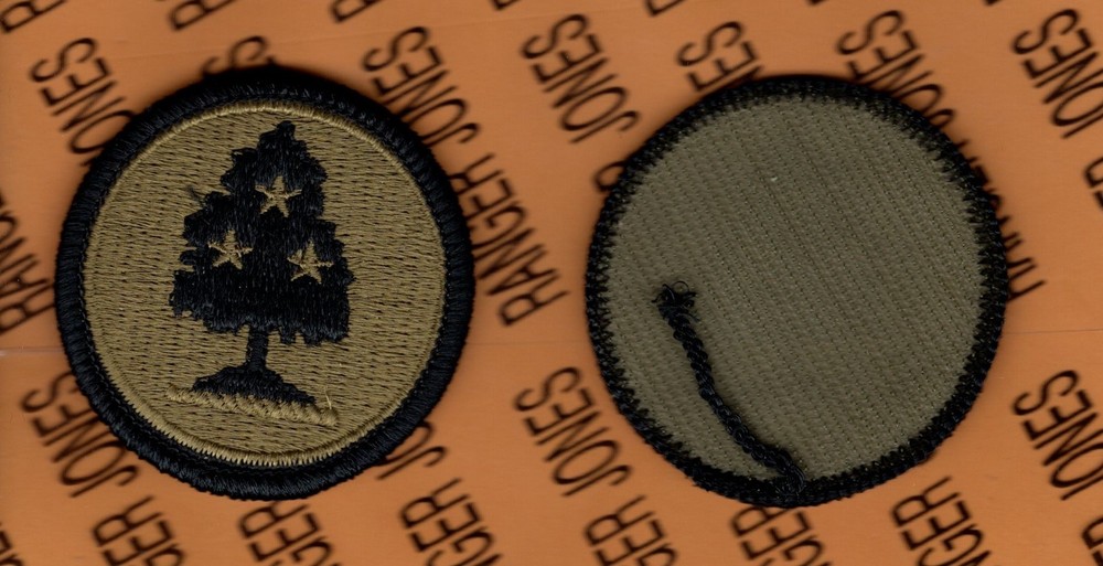 US Army Tennessee ARNG OCP Multicam Scorpion hook n loop patch