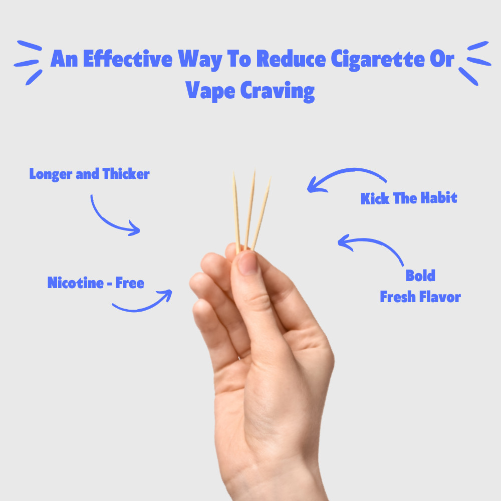 Quit-NIC Infused Flavored Toothpicks to Help Quit Smoking Cool Menthol 3 Pack