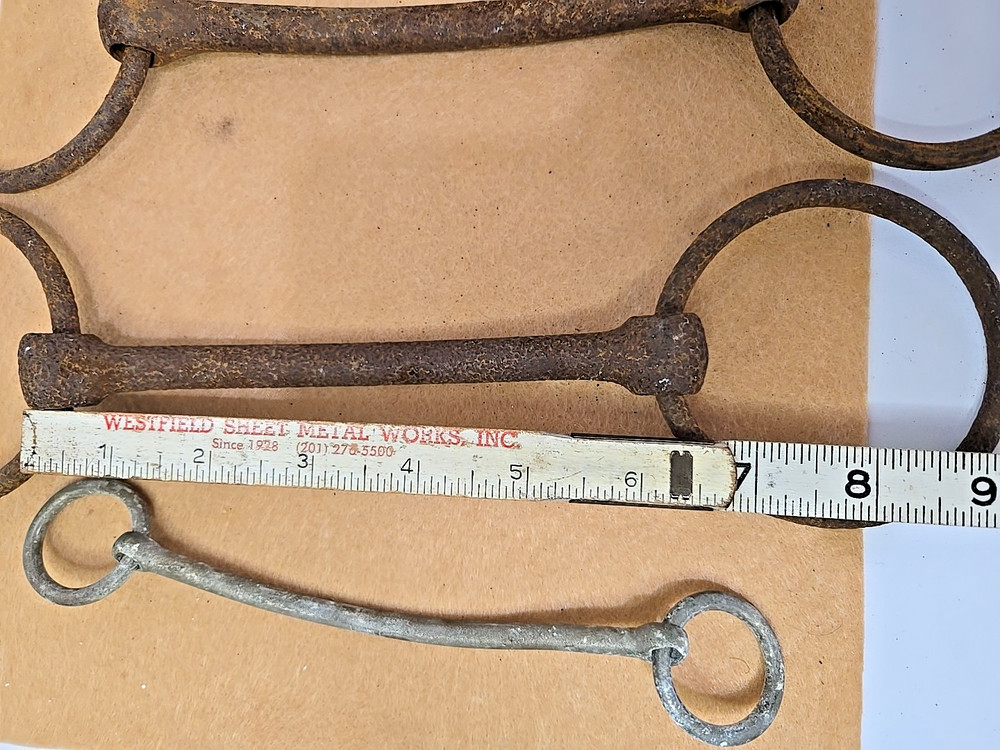 Bridle Bit 4 Equestrian Horse Mule READ
