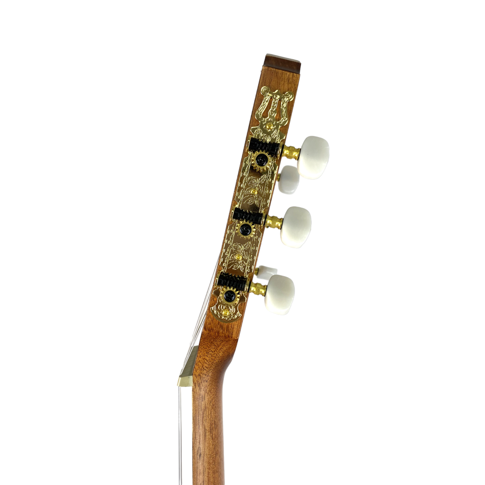 Haze C551BCEQSMFL Solid Top Fretless Arched Back Classical Guitar - Matte