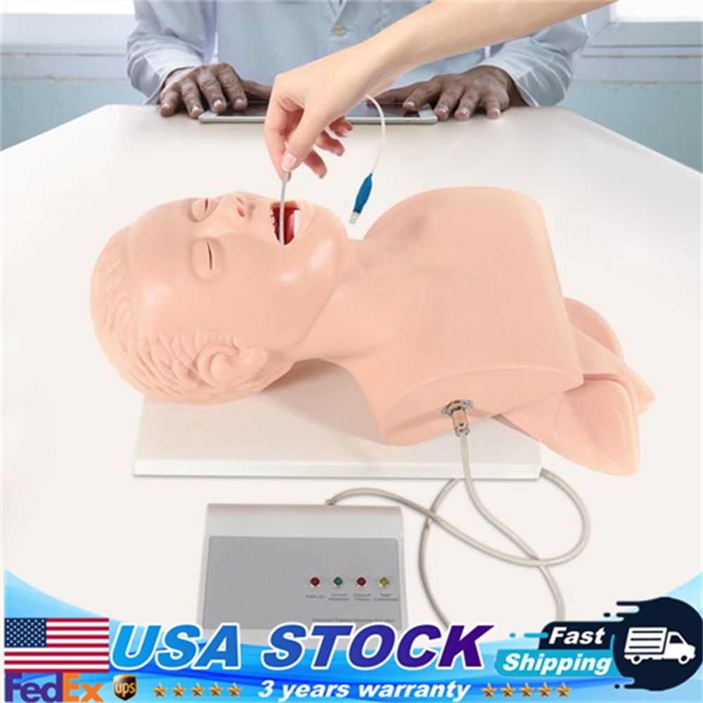 Intubation Manikin Study Teaching Model Adult Airway Management Trainer 110V