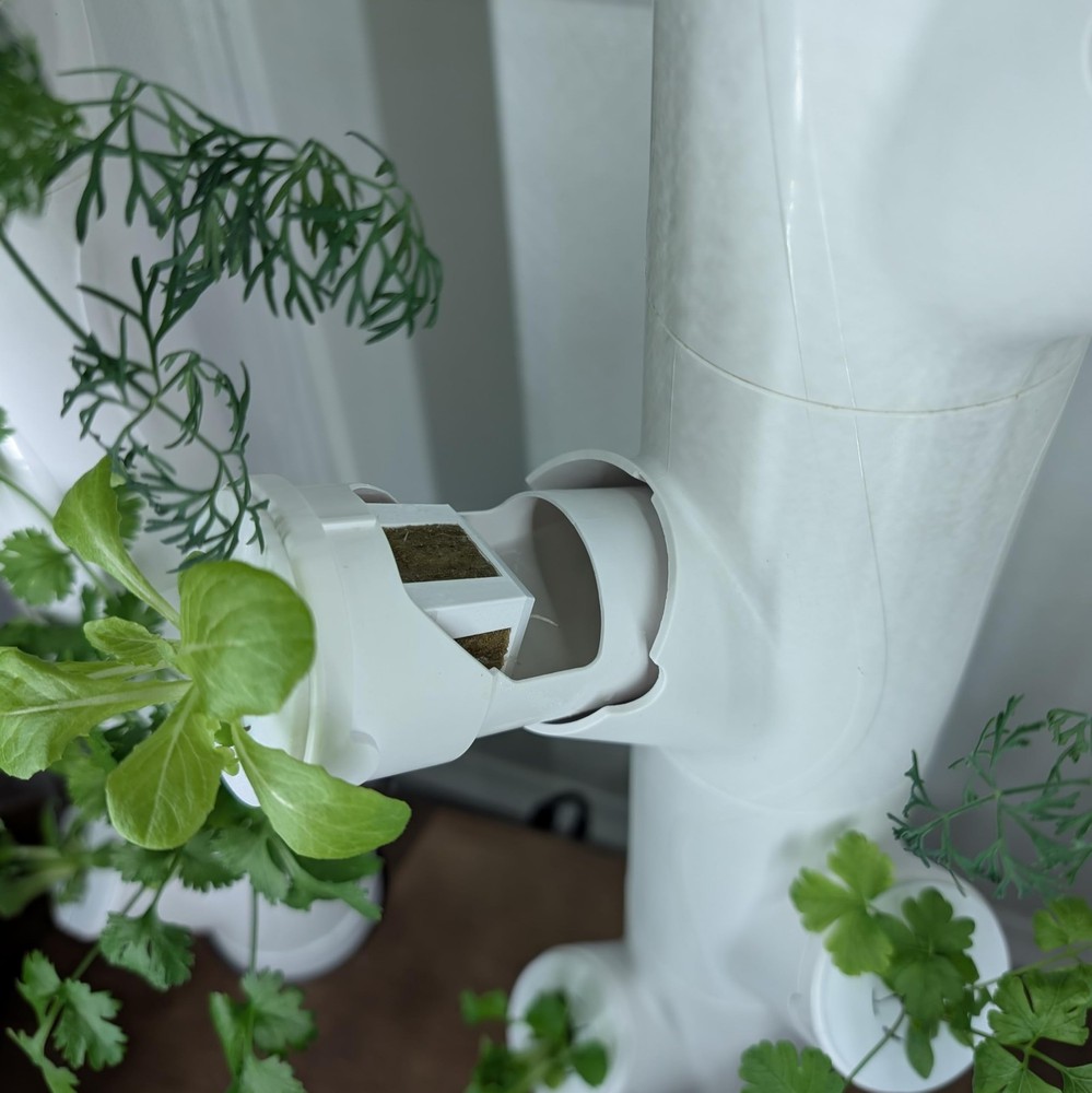 Grow Cubes for Hydroponic System Compatible with Gardyn 10 Cubes
