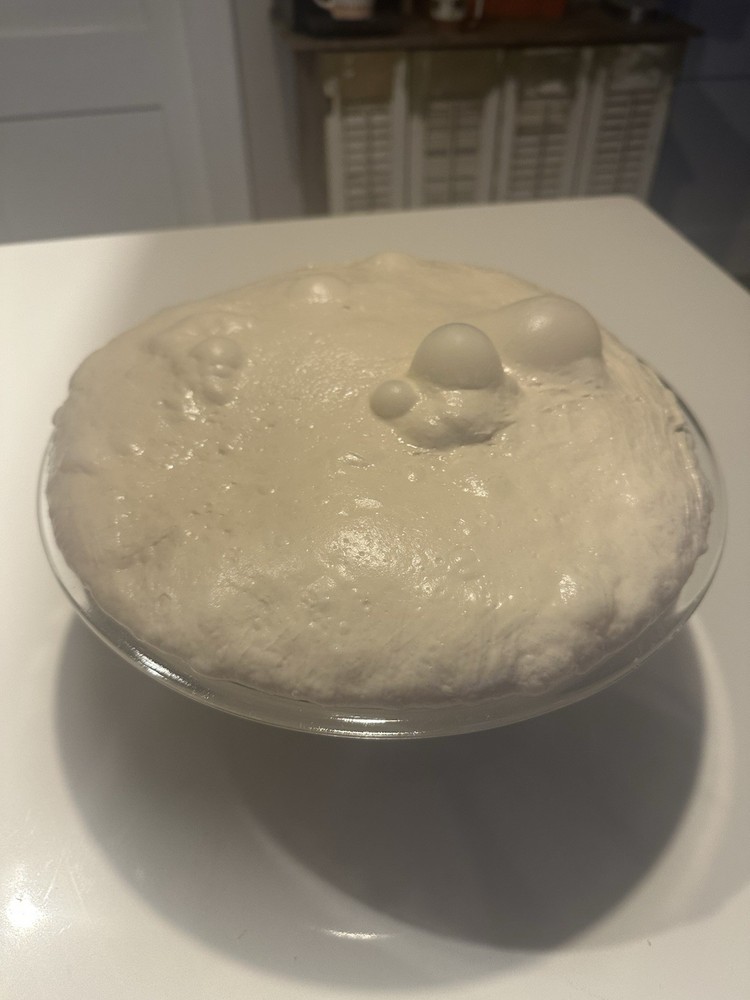 Sourdough Starter 20grams Dehydrated Strong