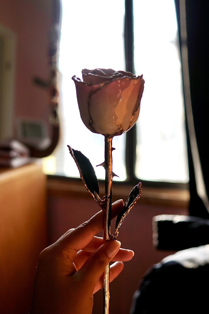 24k rose co