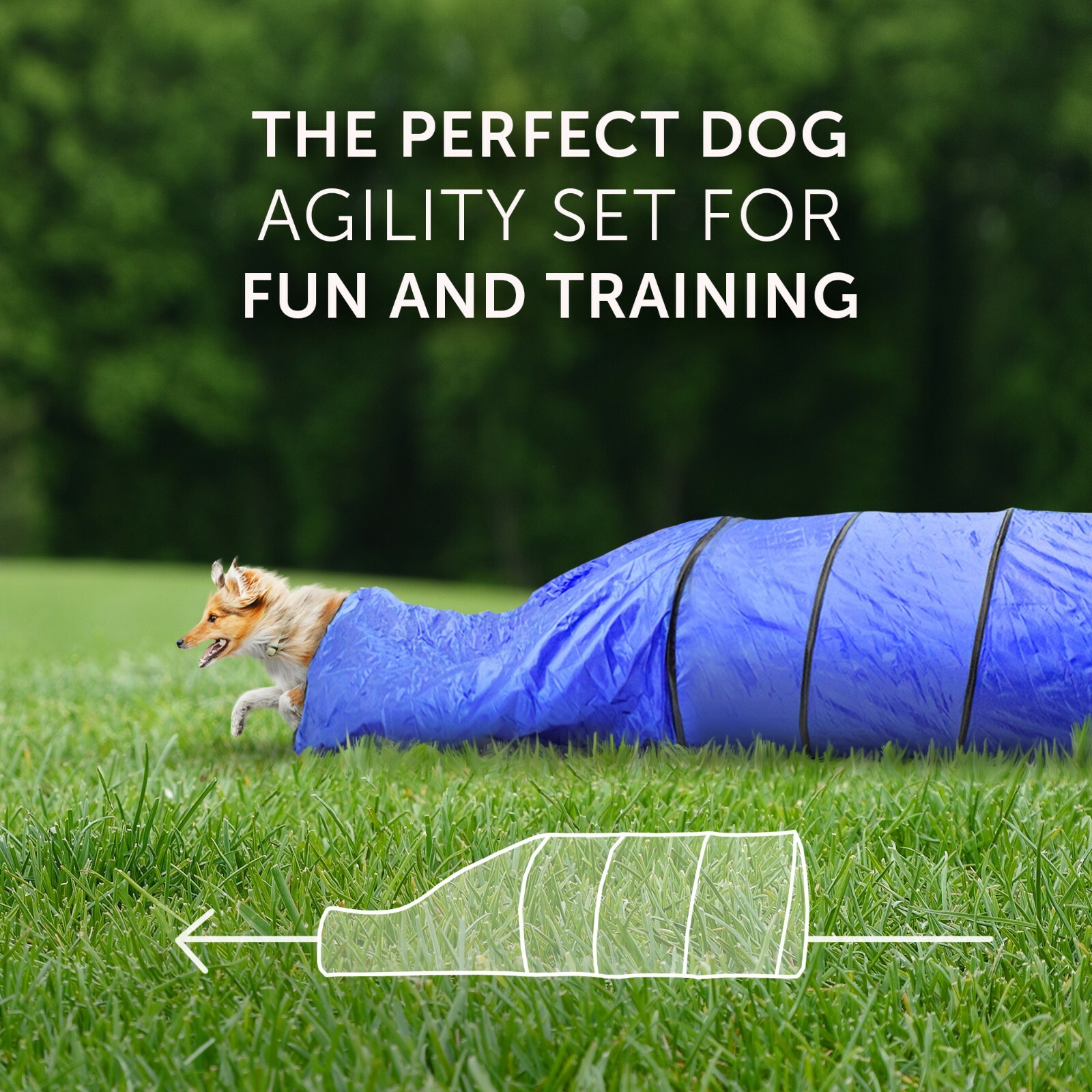 Better Sporting Dogs Deluxe Agility Equipment Set 7 Piece Set