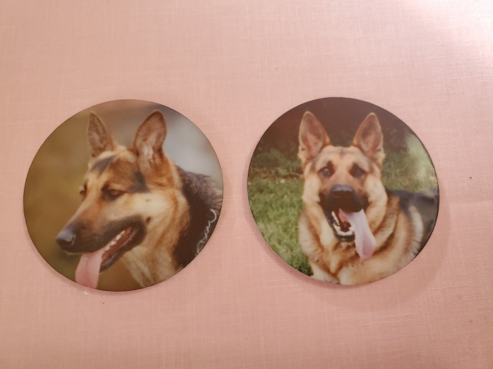 2 GERMAN SHEPHERD MAGNETS