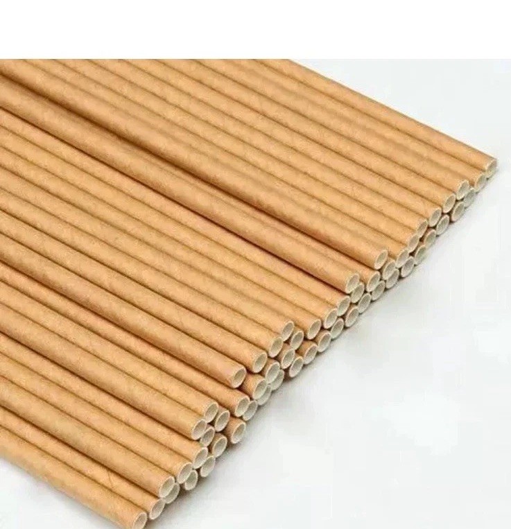 1 PCs Paper Straws