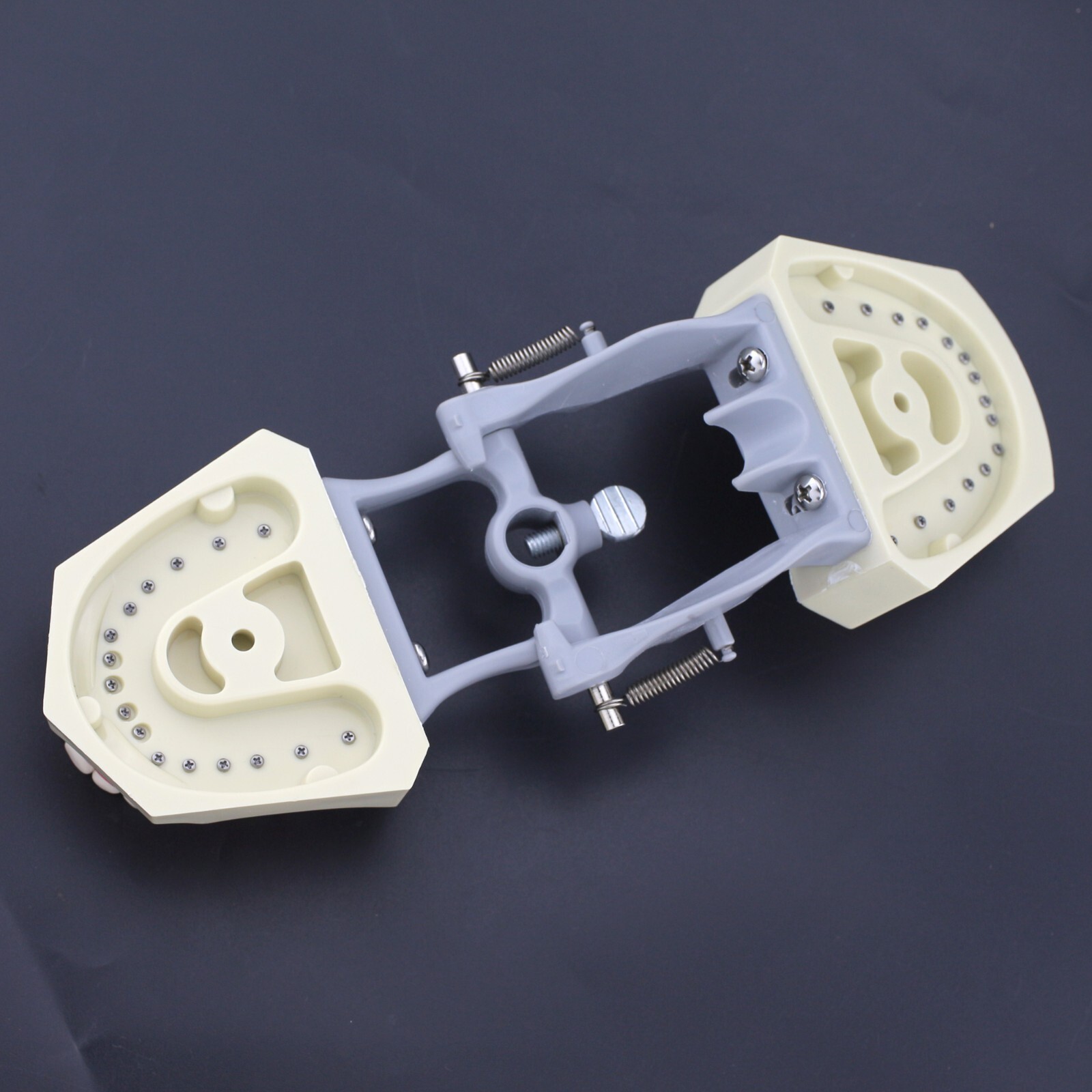 Columbia Dentoform 860 Dental Typodont Model 32pcs Removable Teeth Mounting Pole