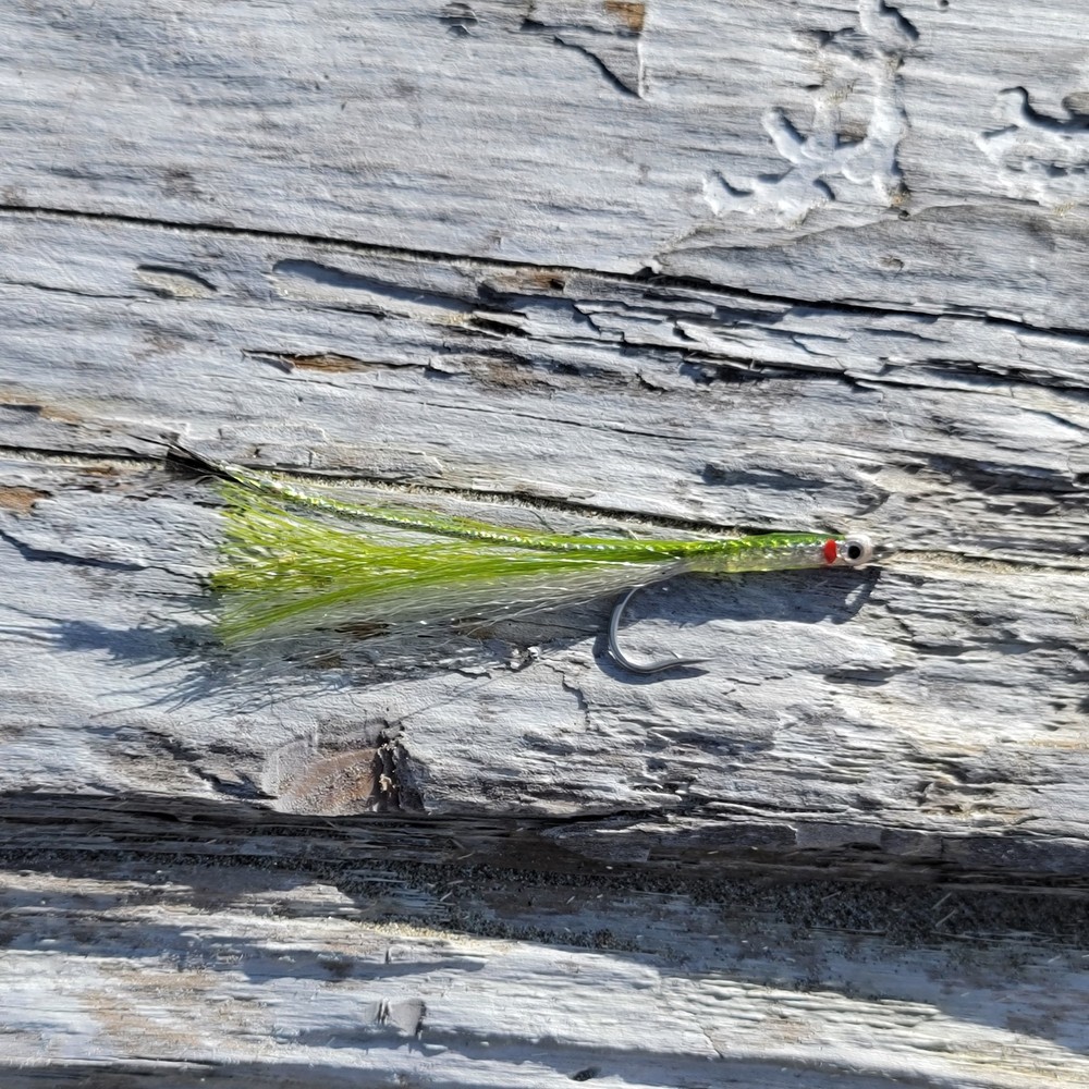 Surf Candy Olive | Size #1/0