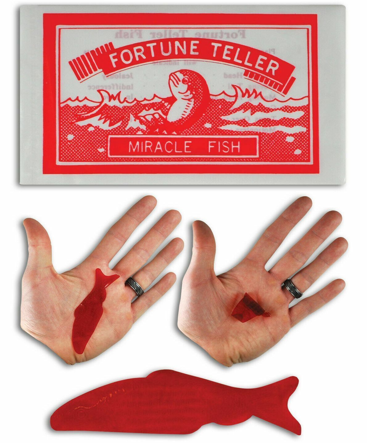 576 FORTUNE TELLER MIRACLE FISH MAGIC TELLING PALM READING TRICK PARTY FAVORS