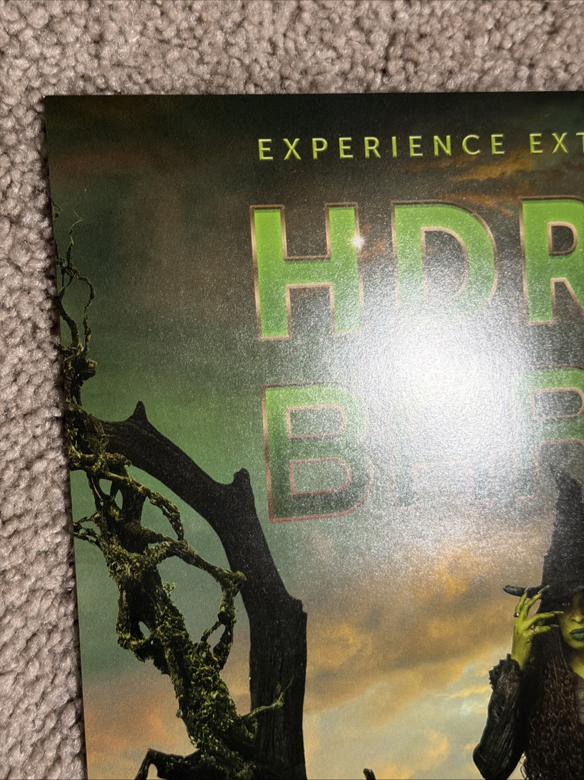 Wicked & Wicked For Good Movie Glinda Regal Exclusive 12x18 Poster Print #983