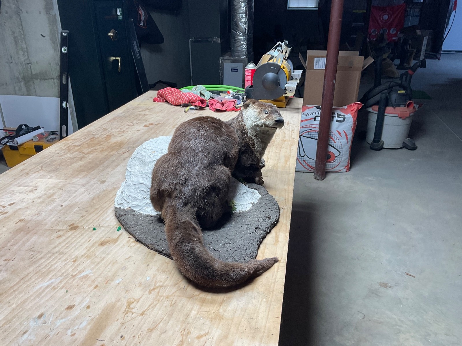 Utter full body mount in a natural setting