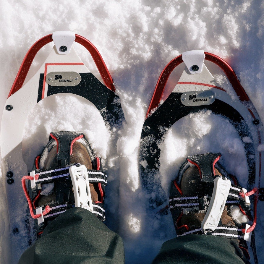 Denali Pro Snowshoes 9x30 – Walking on Snow, Yard, Property, Trails