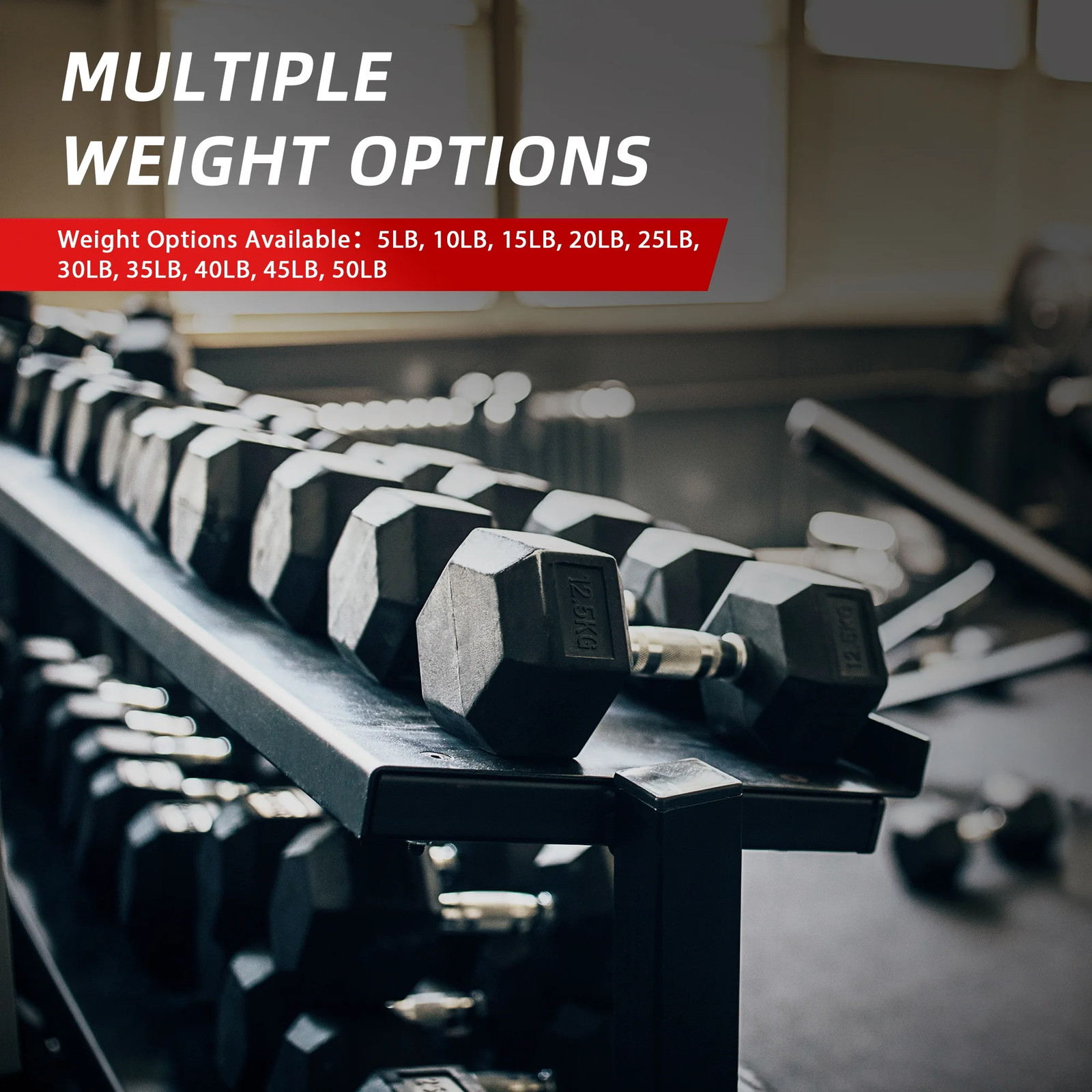 Rubber Encased Hex Dumbbell 10 lb Free Weight Anti Roll Strength Training