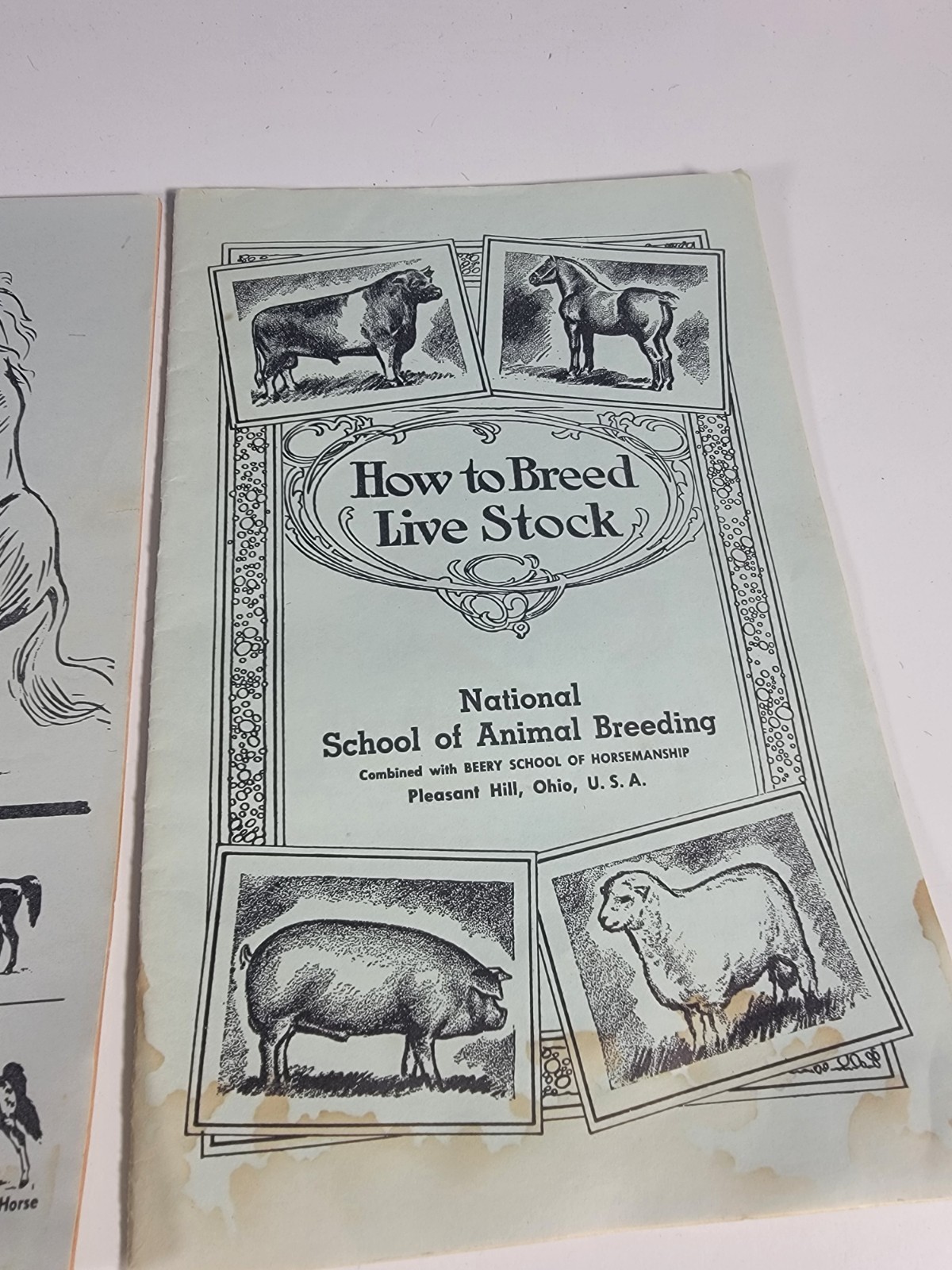 SET: VTG Genuine Brown Leather Bullwhip 100 inches Long Heavy Duty whip + 3 Book