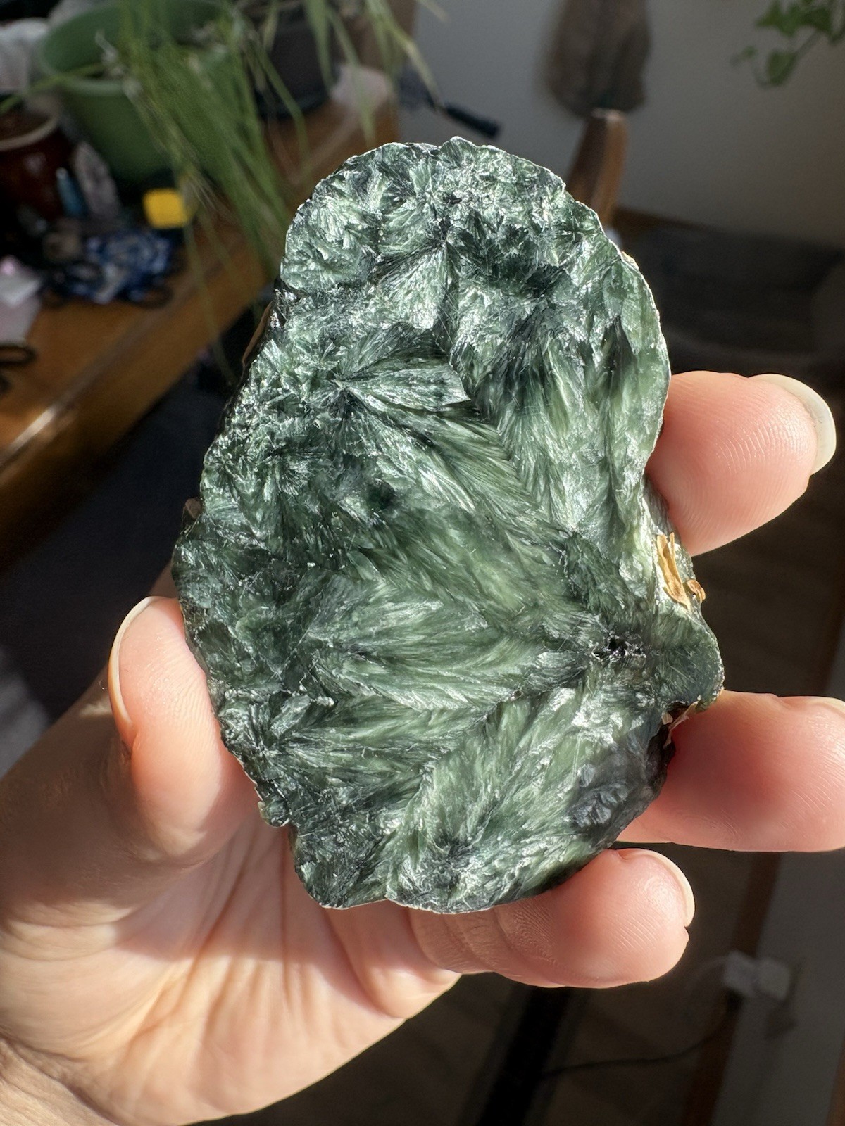 Seraphinite Slab