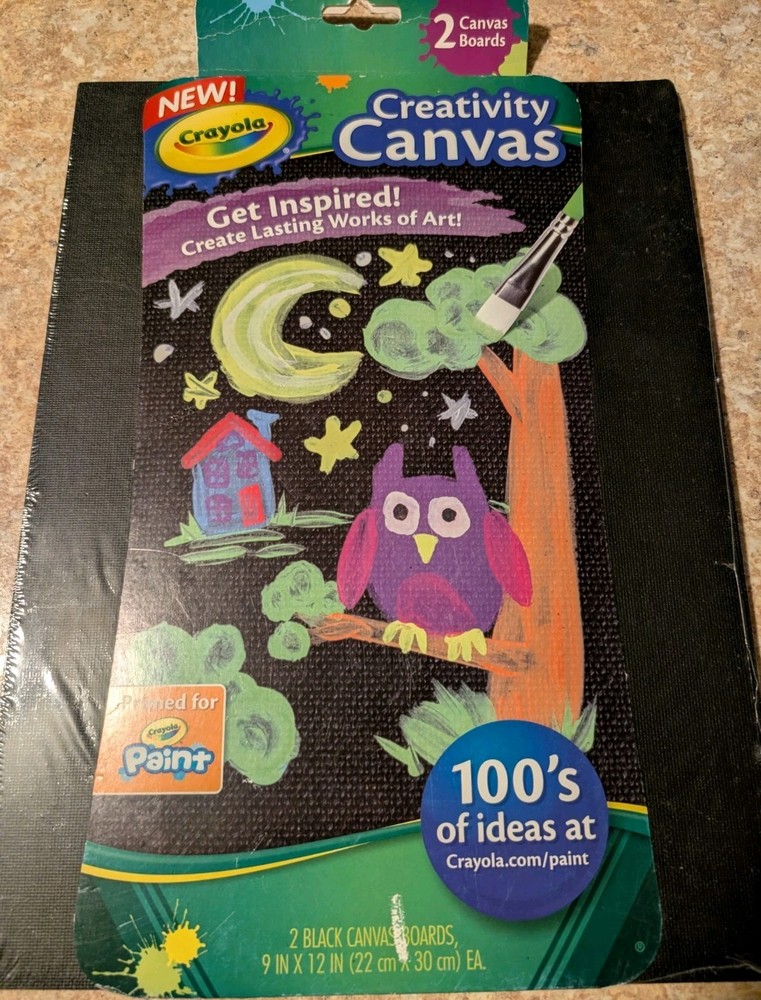 Crayola Paint Canvas Set Black NEW