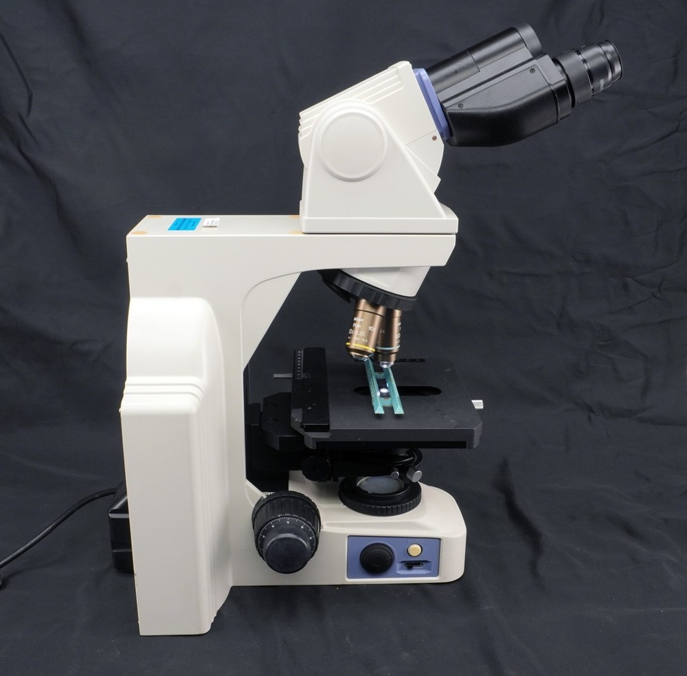 Nikon Eclipse E400 Microscope Ergo Binocular 10x Eye Plan 10/40x Objective Lot B