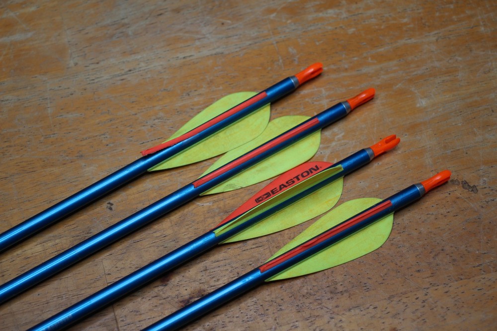 Genesis Mini Compound Bow Arrows Used